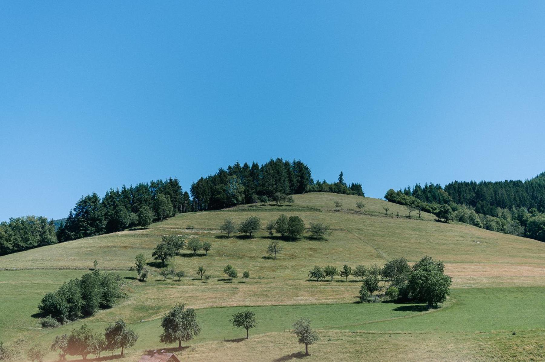 Moderne 2 Zi.-Fewo Blackforest Art Barrierefrei Naehe Freiburg シモンスヴァルト エクステリア 写真